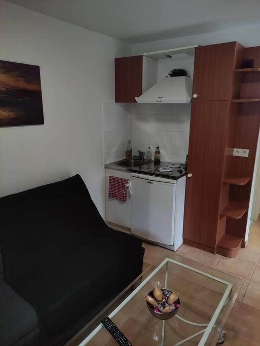 Apartment Deux Pieces Avec Grande Terrasse Au Calme Saint-Martin-Vésubie