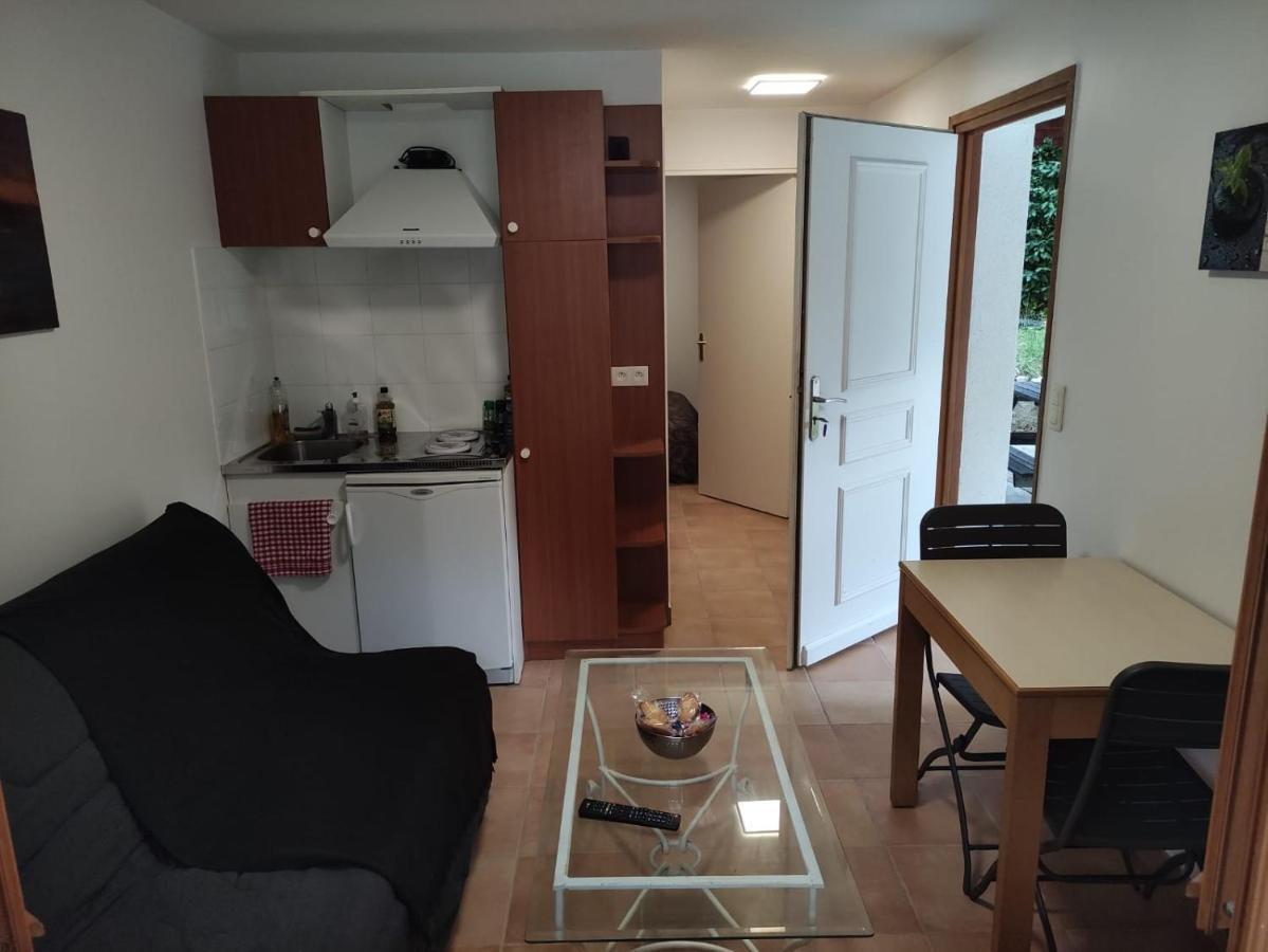 Deux Pièces Avec Grande Terrasse Au Calme *